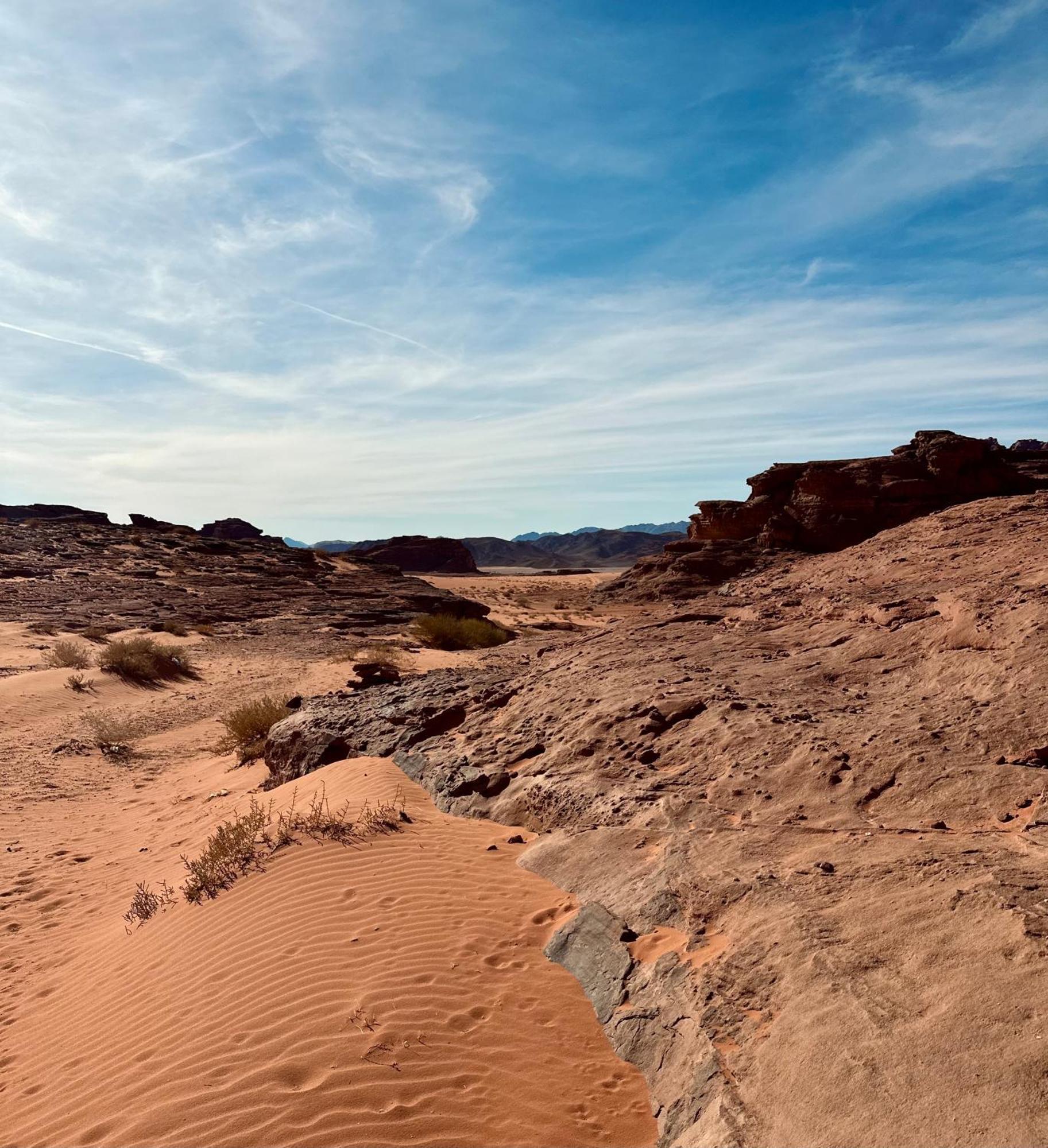 Salameh'S Bedouin Camp Hotel Wadi Rum Exterior foto