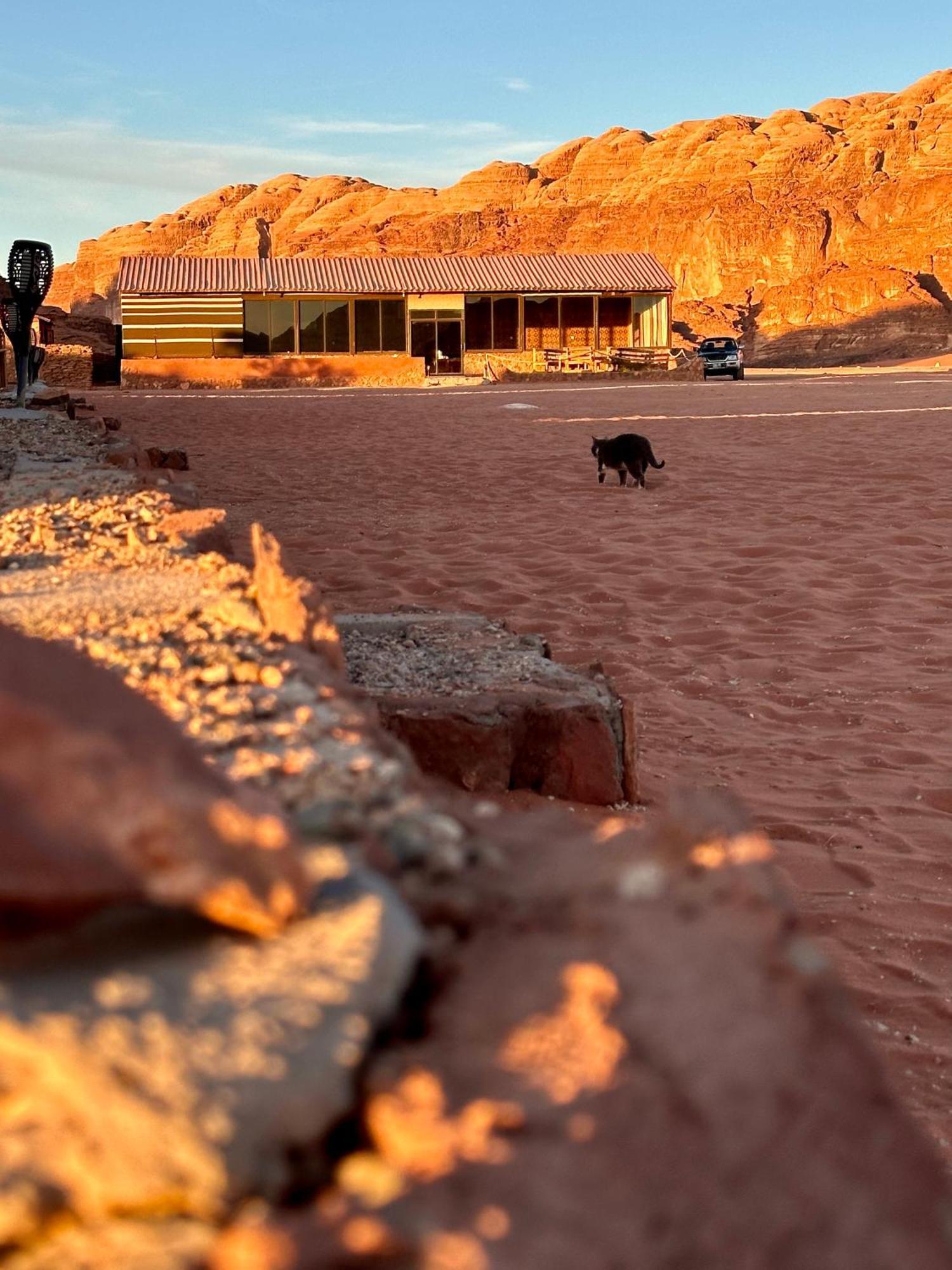 Salameh'S Bedouin Camp Hotel Wadi Rum Exterior foto